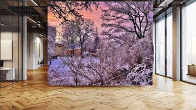 trees in the snow Wall mural