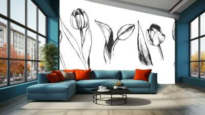 tulip flower graphic illustration decorative nature art Wall mural