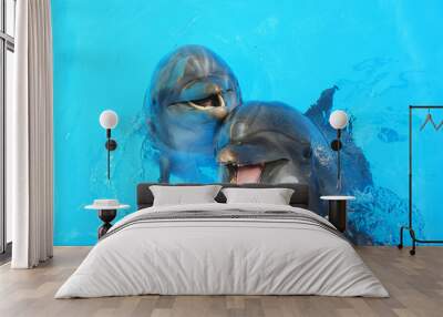 two dolphins Wall mural