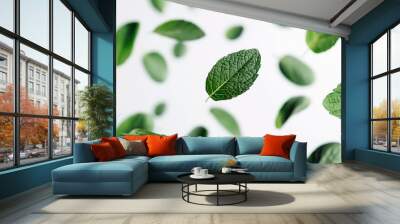 Mint leafs floating isolated on white background. Wall mural