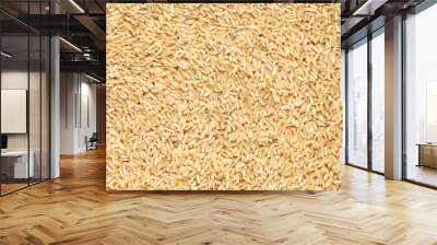 Organic brown rice texture background, top view. Wall mural