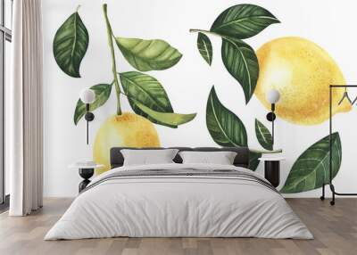 Watercolor Lemon fruit with leaves hand drawn illustration isolated on a white background botanical painted Wall mural