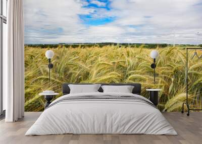 Field of wheat in summer, close-up. Wall mural