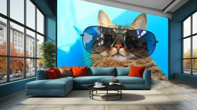 cat wearing sunglasses Wall mural