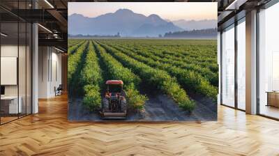 Blueberry field and mountains in the distance in British Columbia, blueberries ready for harvesting. Blueberry farm Wall mural