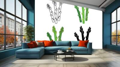 a set of asparagus icons. color and black-and-white icons, silhouette and outline. delicious and hea Wall mural