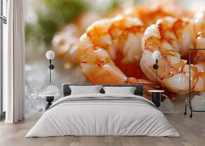 Fresh cooked boiled shrimps on ice close up. Healthy food, seafood.  Wall mural