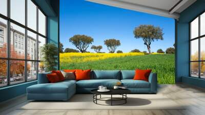 Green fields with trees over a blue sky. Spring and summer Wall mural