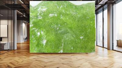 slick surface of slime green with glitter      Wall mural