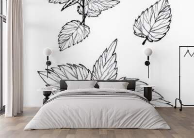 Urtica dioica a sketch with a pencil. element set of wild grass for design Wall mural