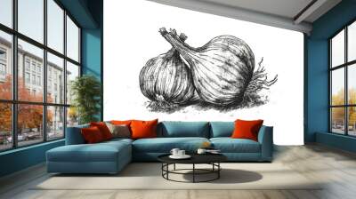 A sketch illustration of a onion on the white background. Wall mural