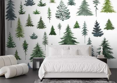 Watercolor collection of evergreen natural firs. Elements of a Christmas tree on a transparent background. Wall mural