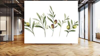 Watercolor vector bouquet of olive branches and flowers. Wall mural