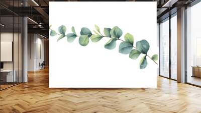 Watercolor vector vector hand painted green eucalyptus branch.  Wall mural