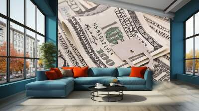 Money Wall mural