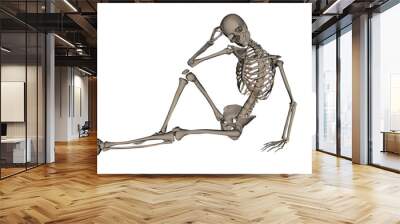 Handsome human skeleton - 3D render Wall mural