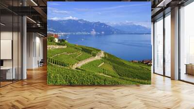 Lavaux region, Vaud, Switzerland Wall mural