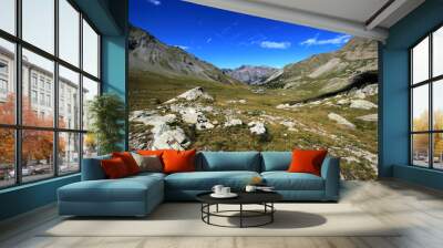 view from the cayolle pass, france Wall mural