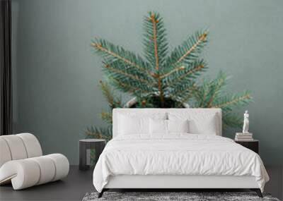 the green concept. bouquet of fir branches in a pot on a green background. vertical view Wall mural