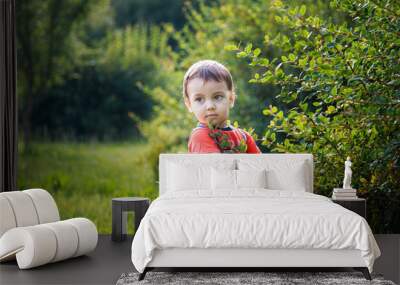 little boy walking in the park in summer Wall mural