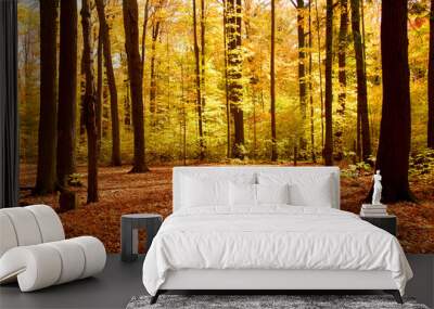 fall forest landscape Wall mural