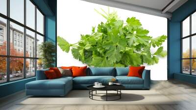 Fresh parsley on white background Wall mural