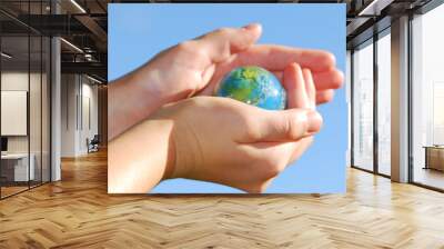 hands globe Wall mural