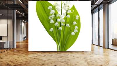 Lily-of-the-valley flowers on white Wall mural