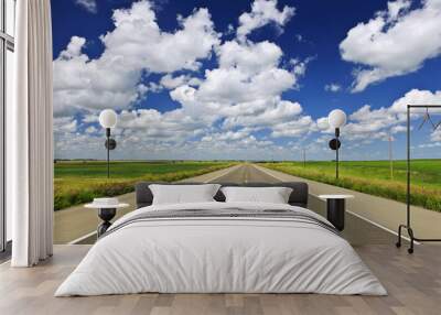 Prairie highway Wall mural