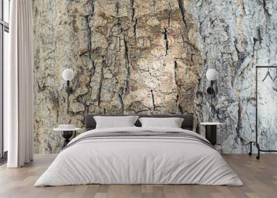 Texture of tree trunk. Dark brown bark Wall mural