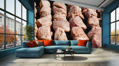 raw meat are fried on metal skewers over coals Wall mural