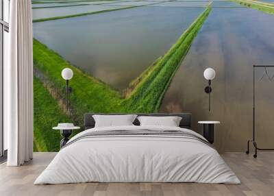 Flooded rice paddies. Agronomic methods of growing rice in the f Wall mural