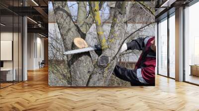 man cut down an electric saw. The stump of saw cut branches. Wall mural