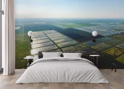 The rice fields are flooded with water. Landscape in front of the sun. Flooded rice paddies. Agronomic methods of growing rice in the fields. Wall mural