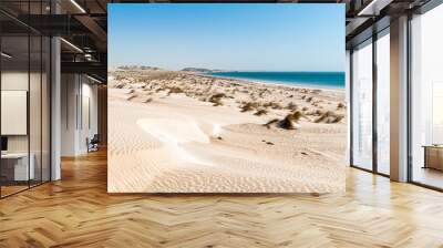 Landscape of Al Khaluf beach with dunes and white sands in the Arabian Sea of Oman. Wall mural