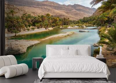 View of the Wadi Bani Khalid oasis in the desert in Sultanate of Oman. Wall mural