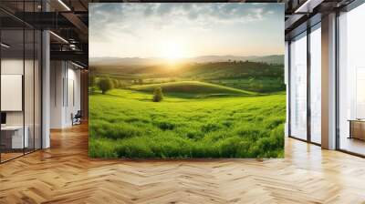 Beautiful natural spring summer landscape of meadow in a hilly area on sunset. Field with young juicy green grass Wall mural