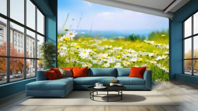 Beautiful spring landscape with meadow yellow flowers and daisies against the blue sky. Natural summer panorama Wall mural