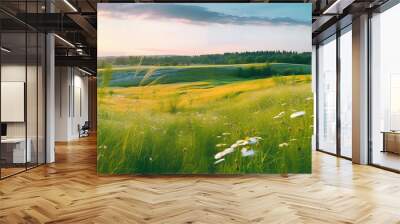 Beautiful summer colorful rustic pastoral landscape panorama. Tall flowering grass on green meadow at sunrise or sunset with beautiful announcement against blue sky Wall mural