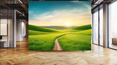 Picturesque winding path through a green grass field in hilly area in morning at dawn against blue sky with clouds. Natural panoramic spring summer landscape Wall mural