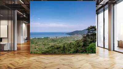 View of a beach at Thassos island Wall mural