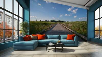 Walking path Wall mural