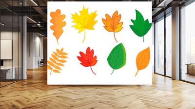 Autumn leaves in cartoon style isolated on white background. Maple, oak, rowan and so on leaf set. Vector. Wall mural