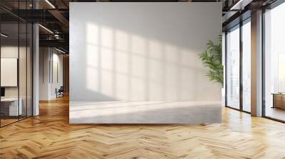 White Wall Studio Background with Shadow Leaves and Light Cement Floor Wall mural