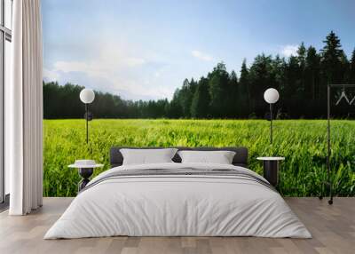 Forest and meadow panorama Wall mural