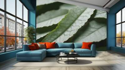 green macro leaves background create with ai Wall mural