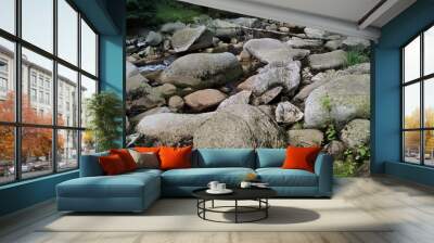 rocks in the river Wall mural