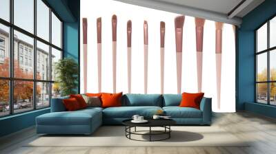 Cosmetics and beauty. Make-up brushes set in row on white isolated background Wall mural