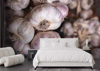 Harvested garlic hanging in bundles to dry Wall mural