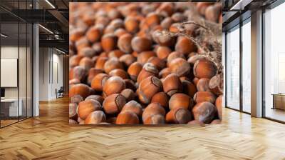 Hazelnuts, filbert on old wooden table. heap or stack of hazel nuts. Hazelnut background, healty food Wall mural